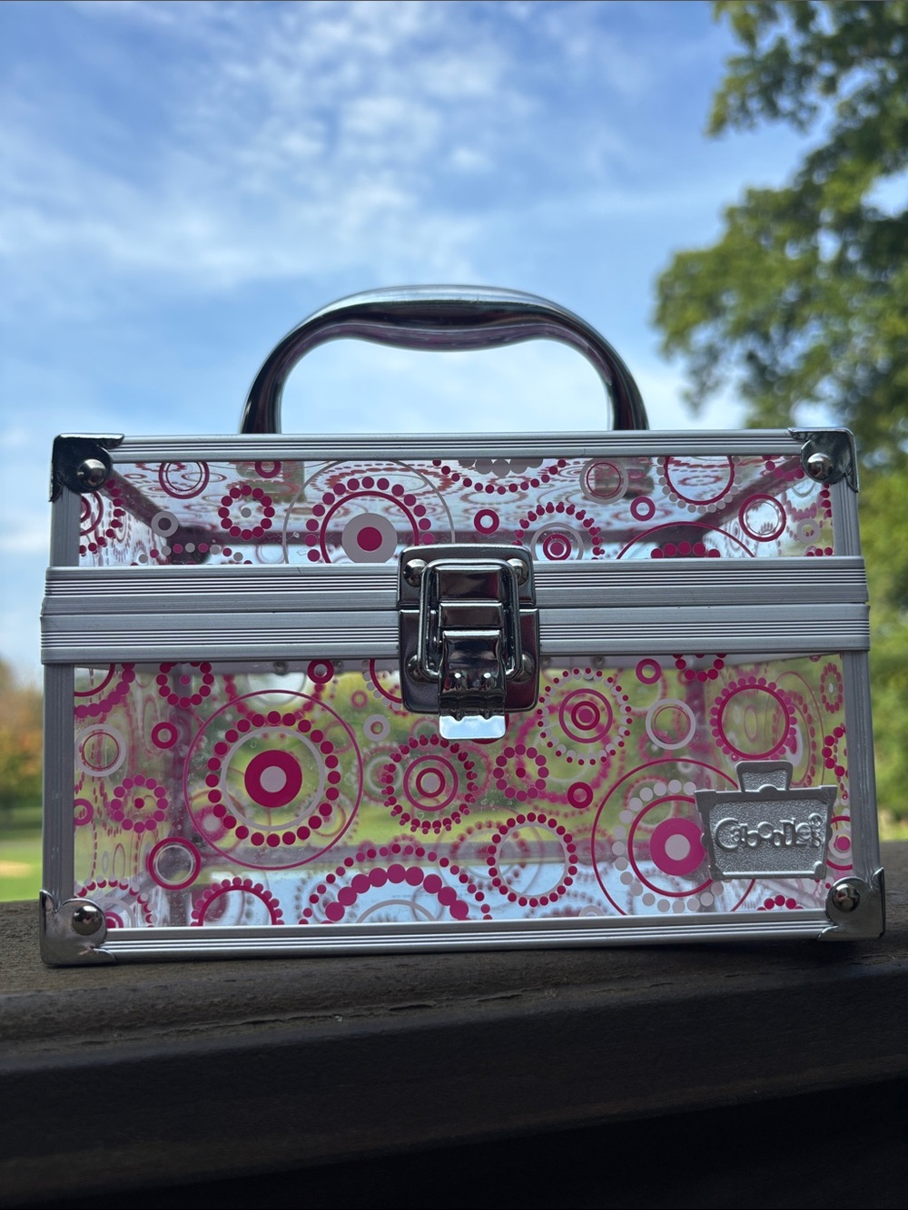 Caboodles Pink Clear Patterned Cosmetic Case with Silver Trim